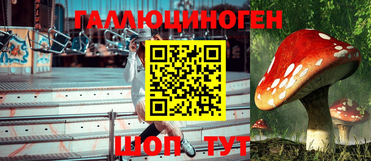 Галлюциногенные грибы Magic Shrooms Волжский