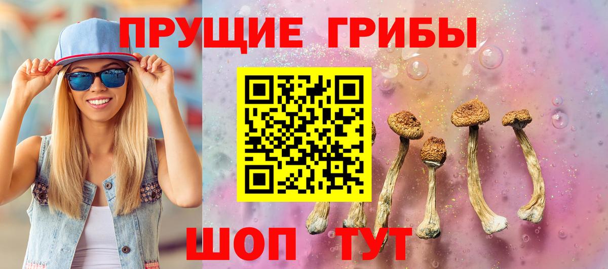 Псилоцибиновые грибы Psilocybe  Вход с VPN  Псилоцибиновые грибы Psilocybine cubensis  Волжский 