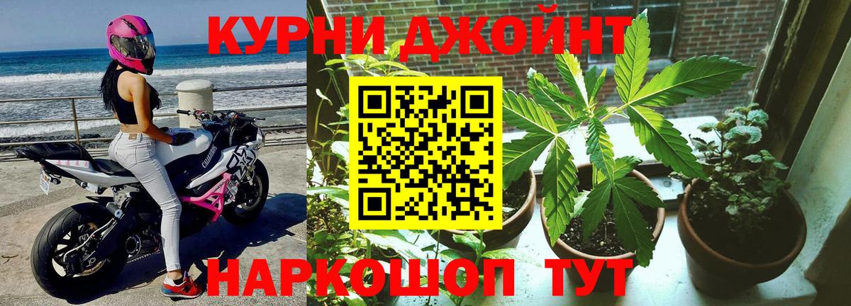 Канабис конопля  Вход с VPN  Волжский  Марихуана Ganja  Бошки марихуана индика 